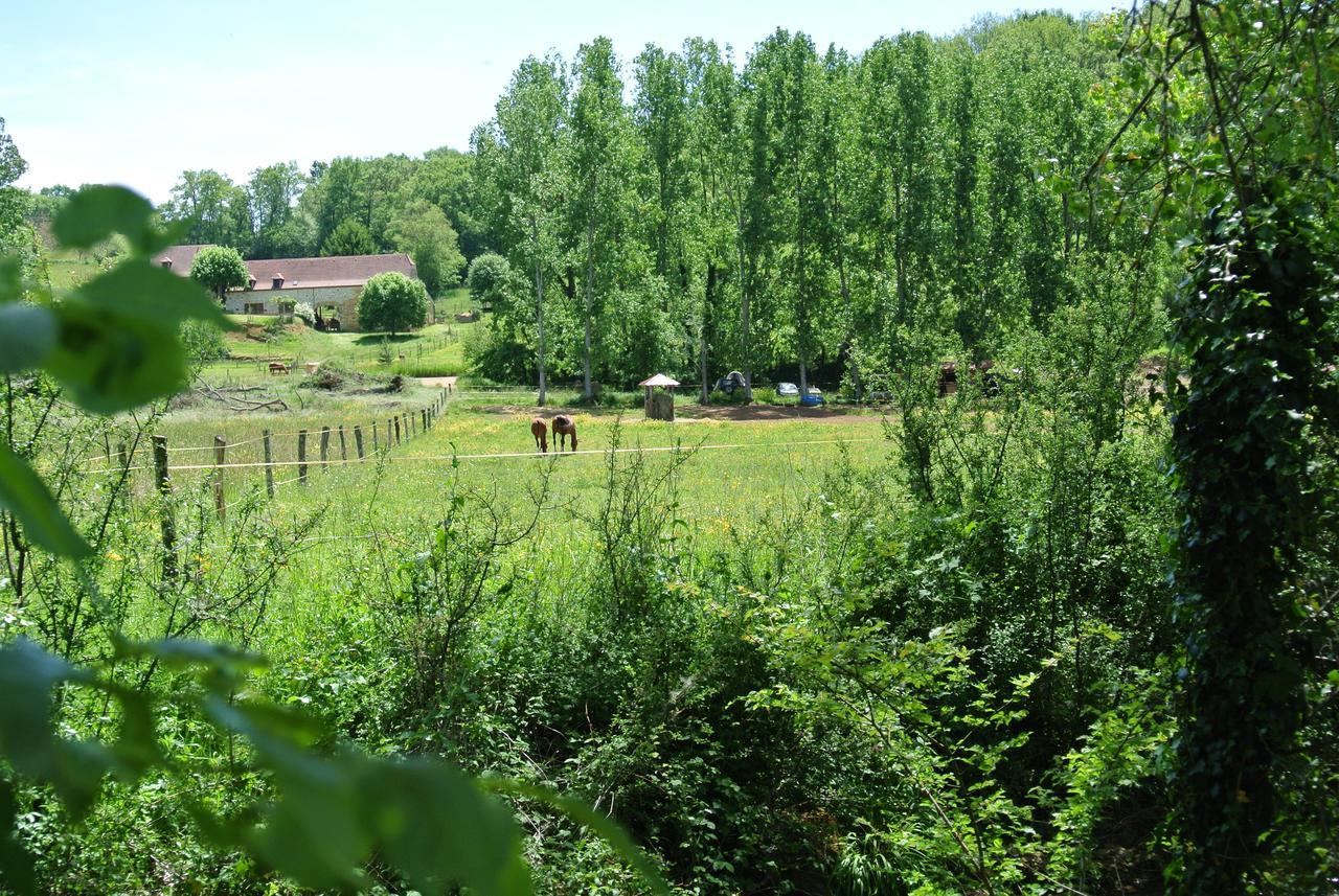 Bed and Breakfast Le Moulin De Planiol Le Vigan  Esterno foto