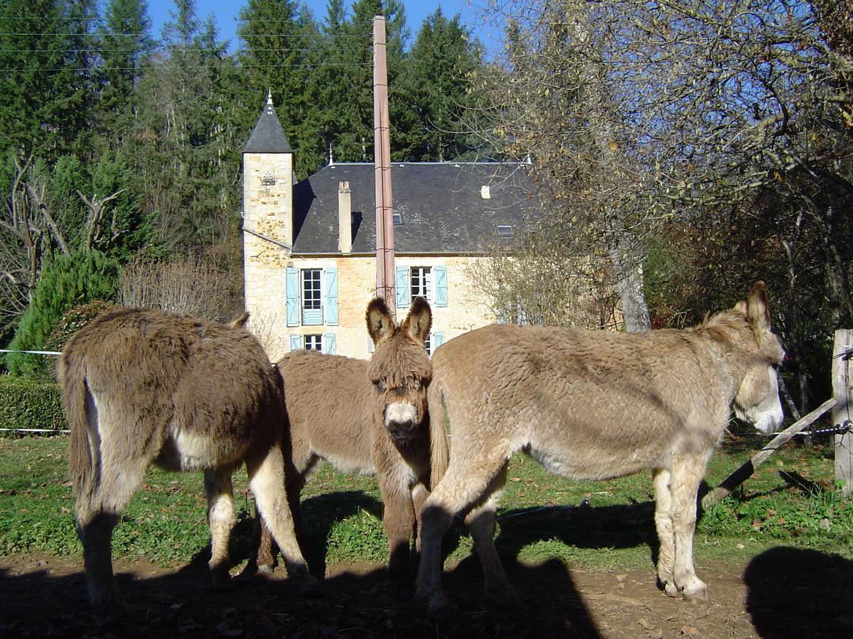 Bed and Breakfast Le Moulin De Planiol Le Vigan  Esterno foto